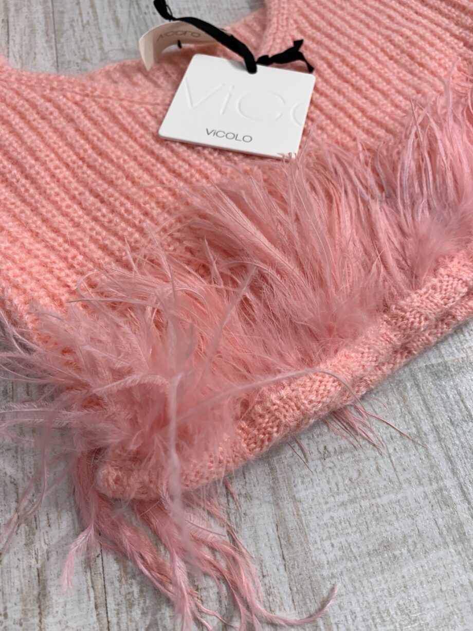 Shop Online Crop top rosa con piume Vicolo