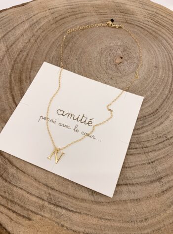 Shop Online Collana in argento 925 con charm lettera N Amitié