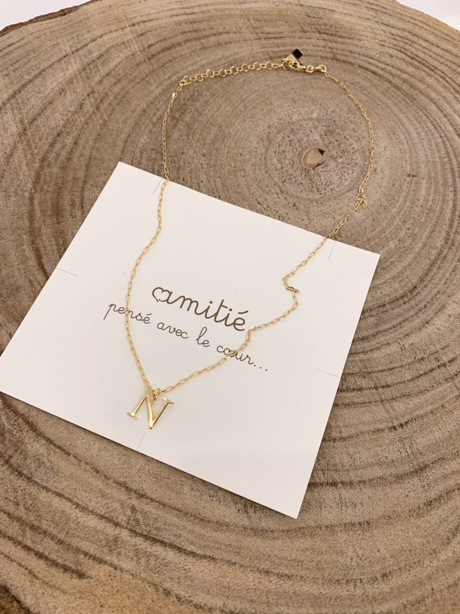 Shop Online Collana in argento 925 con charm lettera N Amitié