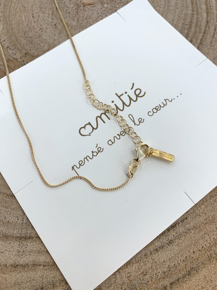 Shop Online Collana in argento 925 con charm lettera C Amitié