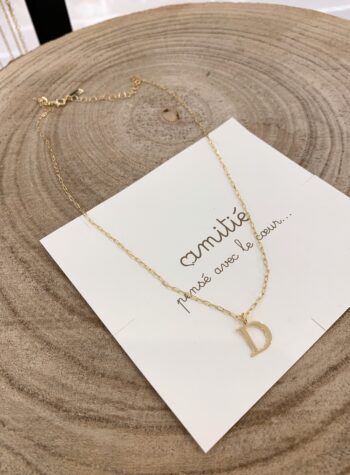 Shop Online Collana in argento 925 con charm lettera D Amitié