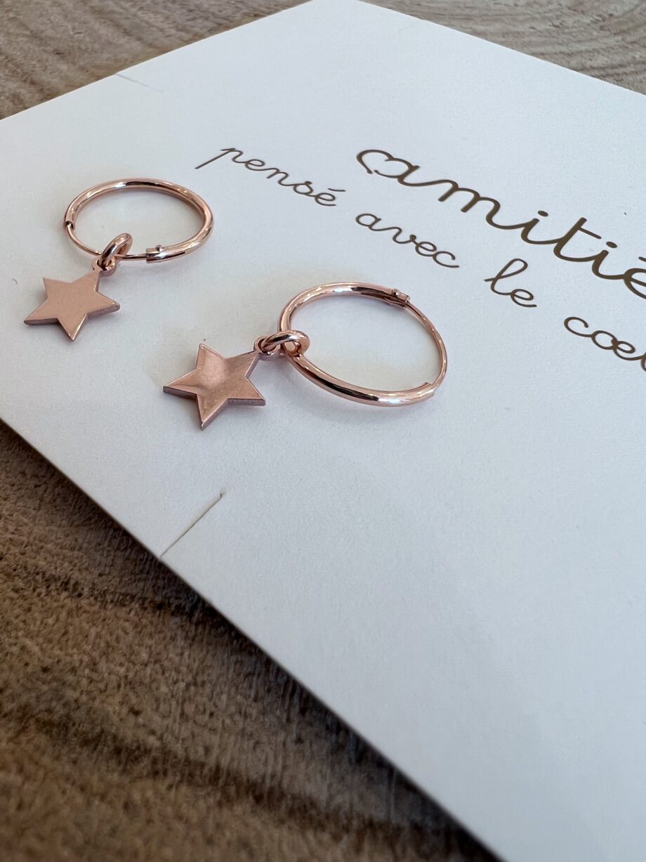 Shop Online Orecchini rosè stelle pendenti argento 925 Amitié