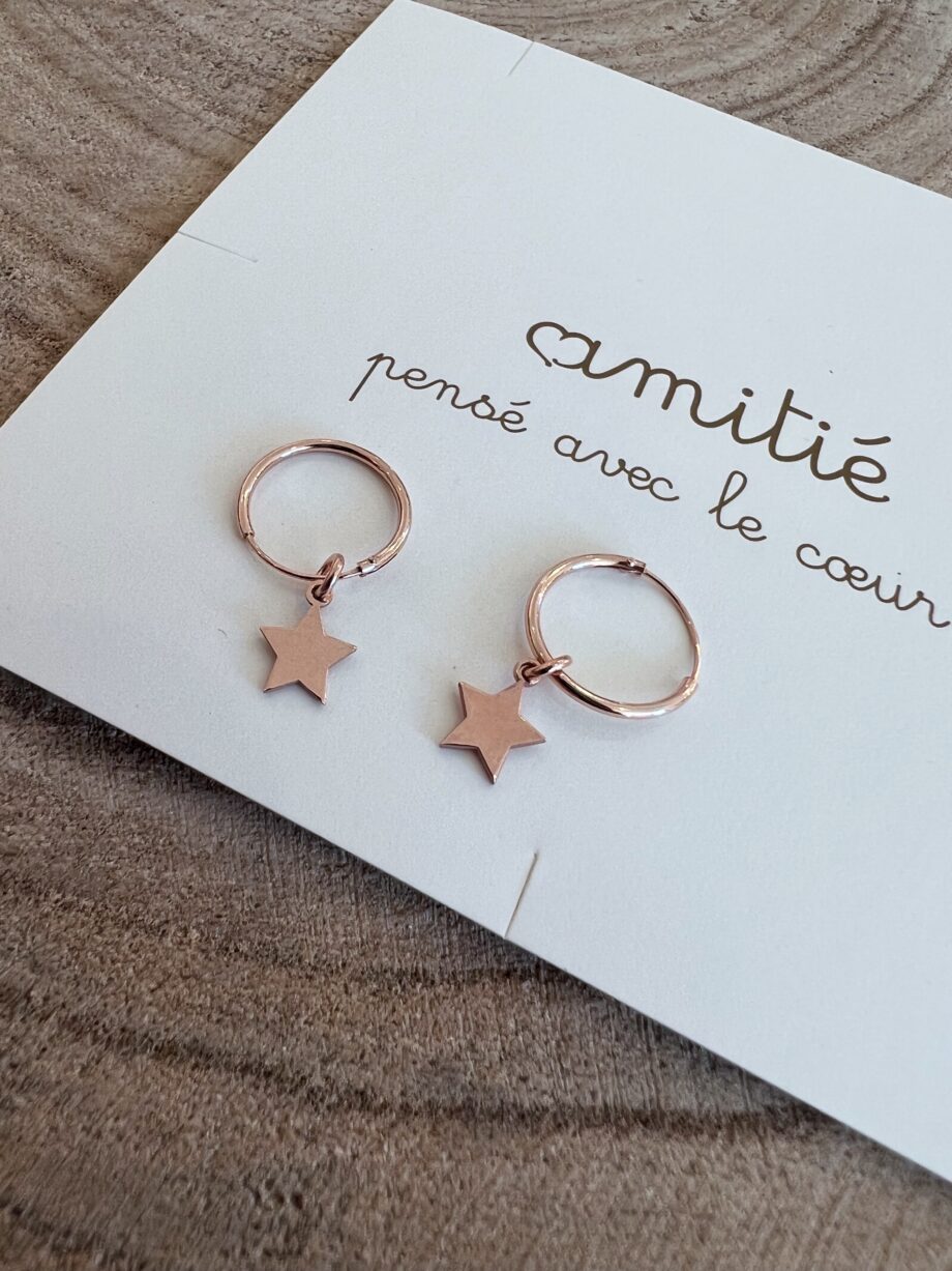 Shop Online Orecchini rosè stelle pendenti argento 925 Amitié