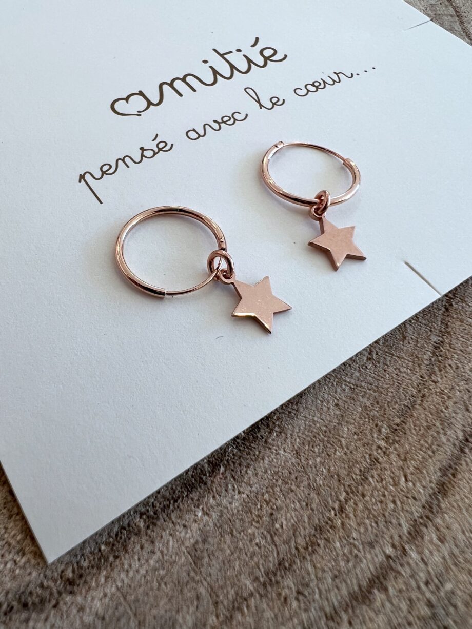 Shop Online Orecchini rosè stelle pendenti argento 925 Amitié