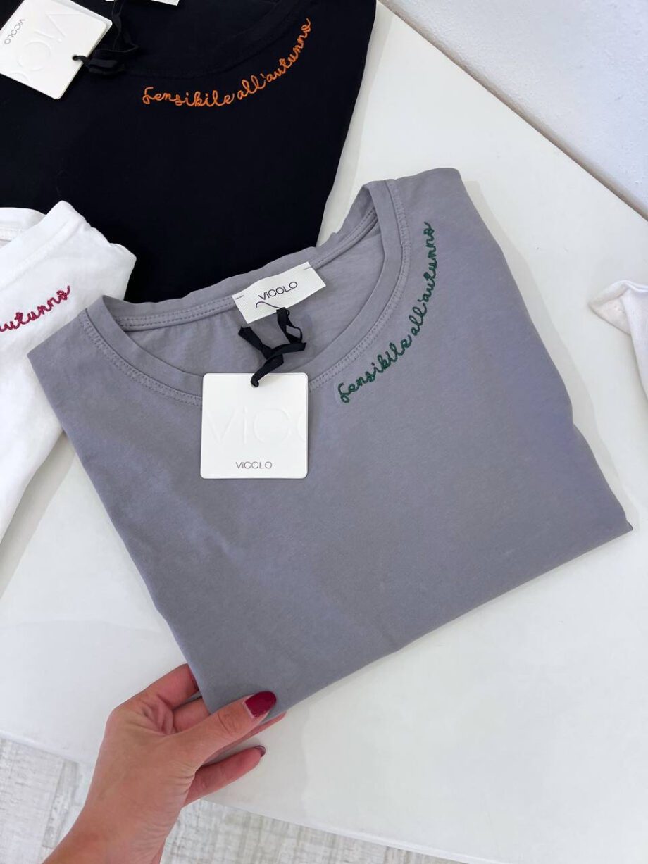 Shop Online T-shirt girocollo grigia ricamo scritta verde Vicolo
