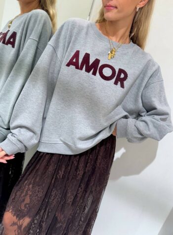 Shop Online Felpa oversize grigia patch velluto Amour Vicolo